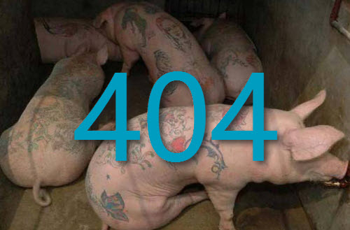 Ошибка 404 на сайте мир татуировок